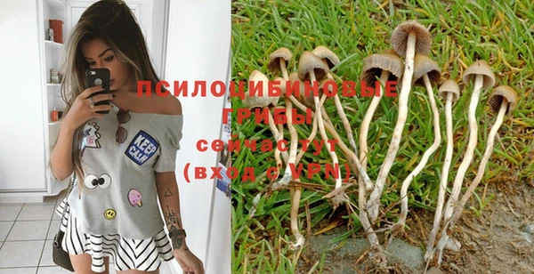 каннабис Абинск