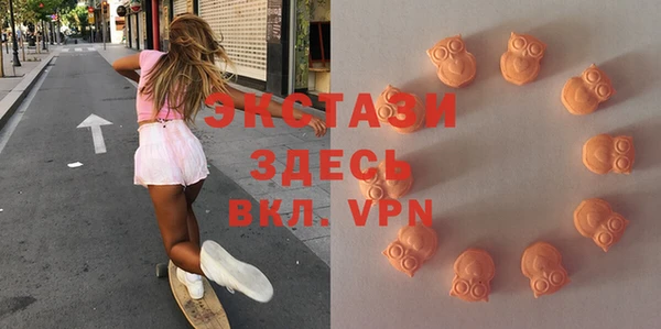 СК Медвежьегорск